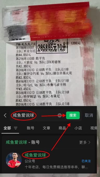 德甲赛事前瞻：美因茨与霍芬海姆战术博弈与胜负前瞻_进攻_防守_比赛